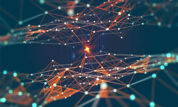 Abstract AI and Biological Network